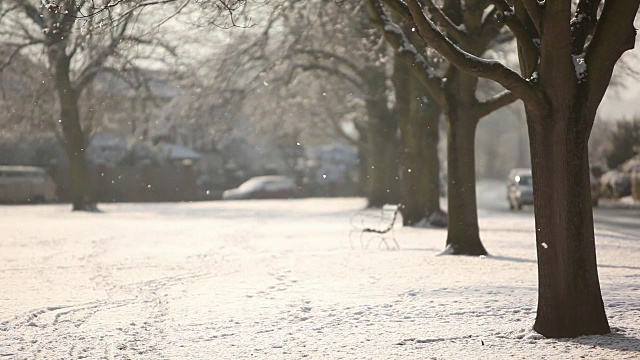 英格兰南部下雪视频素材