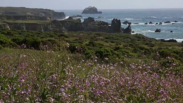 大苏尔的岩石海岸线，海浪拍打着海岸，阳光照耀着。视频素材