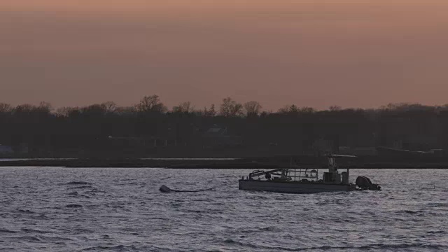 长岛声音船在夕阳下停泊。视频素材