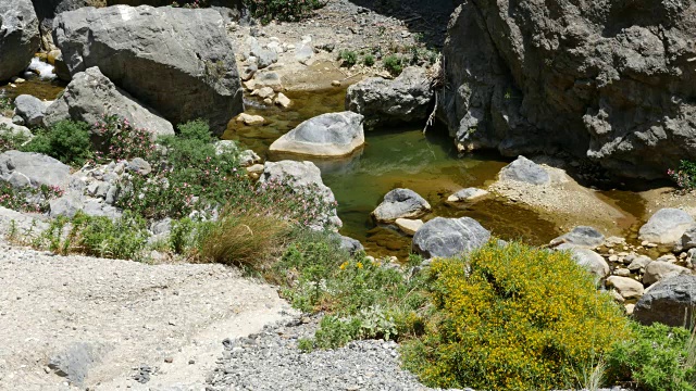 希腊克里特岛科尔塔里奥提科峡谷灌木状植物和溪流视频素材