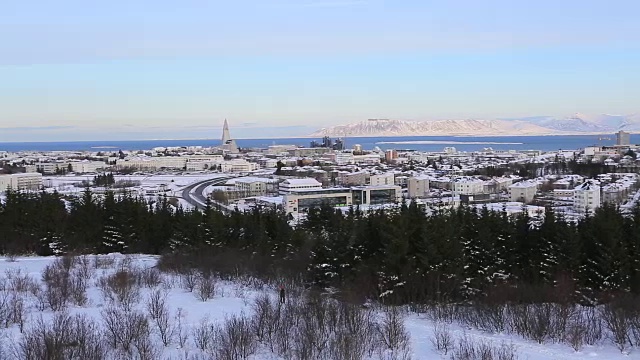 冰岛雷克雅未克的阿里尔全景，视频素材