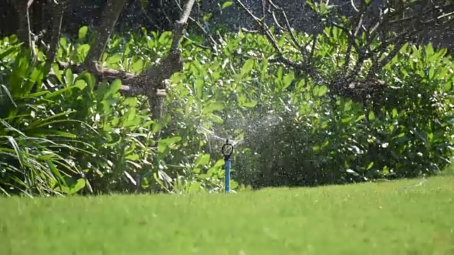 洒水器在花园里浇水视频素材