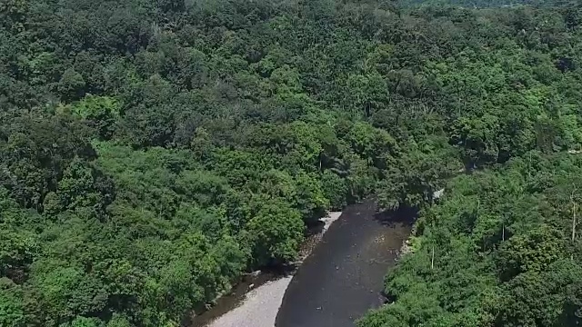 苏门答腊卢瑟国家公园。视频素材