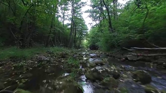 飞越森林河视频素材