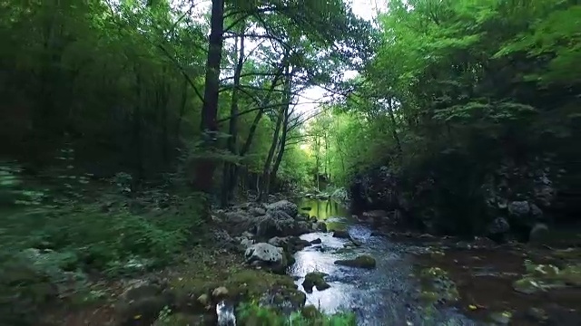 飞越森林河视频素材