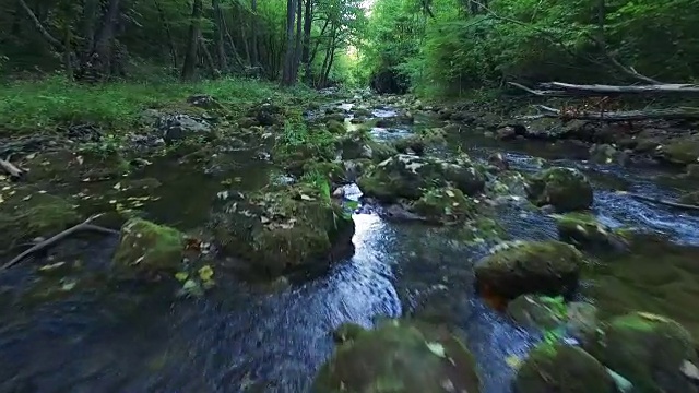 飞越森林河视频素材