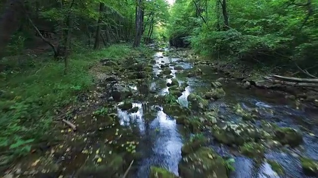 飞越森林河视频素材