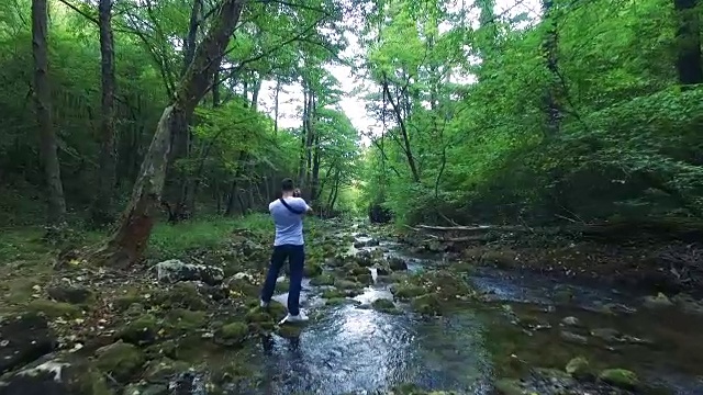 飞越森林河视频素材