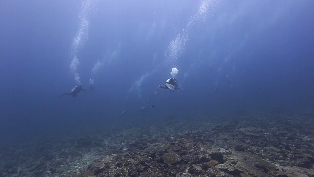 流浪者视频素材