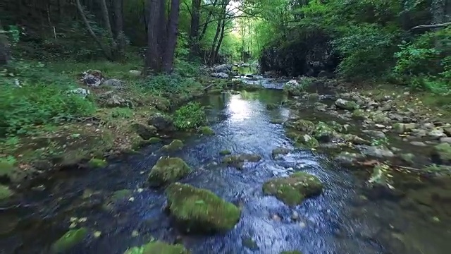 飞越森林河视频素材