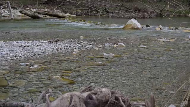 激流河视频下载