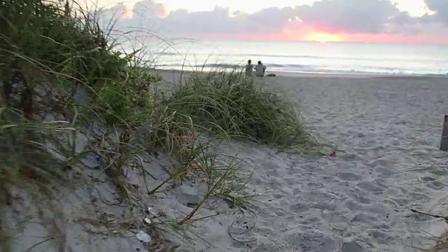 日出时，POV穿过海草走向大海视频素材