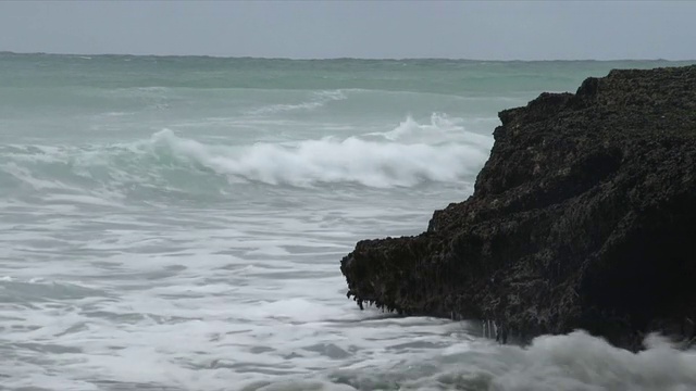 在海洋/安妮斯顿，西开普，南非视频素材