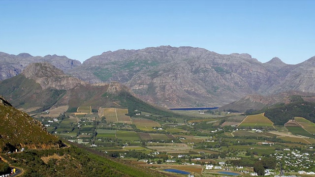 WS PAN HA在伯格河谷/ Franschhoek，西开普省，南非视频素材