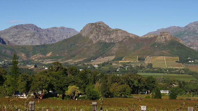 风景如画的葡萄园与蓝天/ Franschhoek，西开普省，南非视频素材