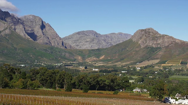 风景如画的葡萄园与蓝天/ Franschhoek，西开普省，南非视频素材