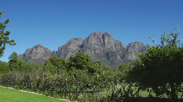 山脉周围的Boschendal葡萄酒庄园/ Franschhoek，西开普省，南非视频素材