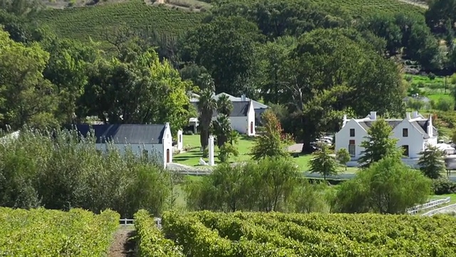 WS ZI拍摄于Boschendal葡萄酒庄园和葡萄园/ Franschhoek，西开普省，南非视频素材