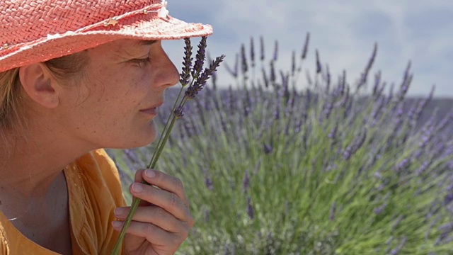 在田里闻薰衣草的女人视频素材