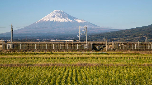 日本，本州，富士山，新干线子弹列车通过收获的稻田下的积雪覆盖的火山视频素材