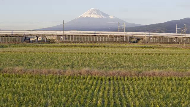 日本，本州，富士山，新干线子弹列车通过收获的稻田下的积雪覆盖的火山视频素材