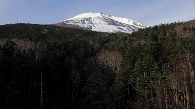 富士山，富士海宗伊豆国家公园，日本视频素材