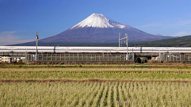 日本，本州，富士山，新干线子弹列车通过收获的稻田下的积雪覆盖的火山视频素材