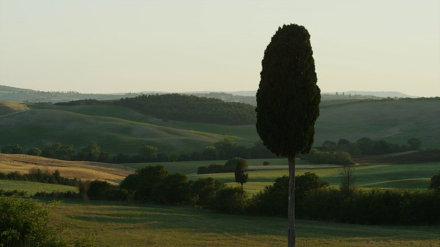 俯瞰连绵起伏的乡村景观的树的慢镜头平移/ Val d’orcia，托斯卡纳，意大利视频素材