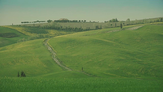 经典的托斯卡纳风景:绿色的山丘和柏树视频素材