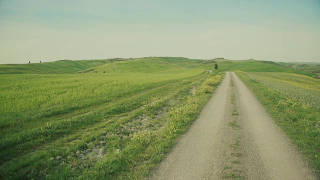 经典的托斯卡纳风景:绿色的山丘和柏树视频素材