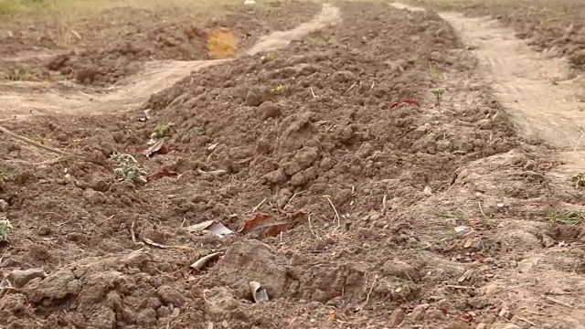 有汽车轨道的土路。视频素材