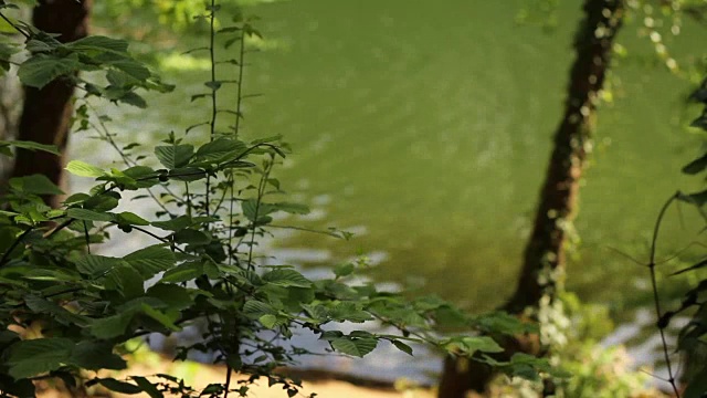 天然湖泊视频下载