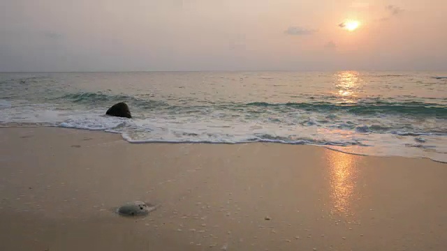 沙滩上的海上日落延时，放松概念，4k(超高清)视频素材