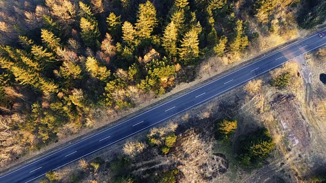 公路穿过森林的无人机录像视频下载