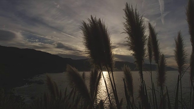 太阳在海岸线后面升起视频素材