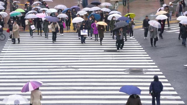 人们在雨中过马路视频素材