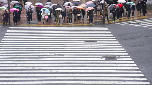 日本东京，人们在雨中过马路视频素材