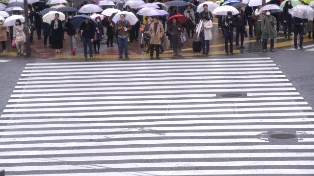 WS鸟瞰在雨中过马路的人们，日本视频素材