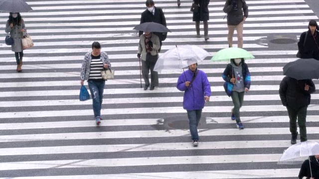 人们在雨中过马路视频素材