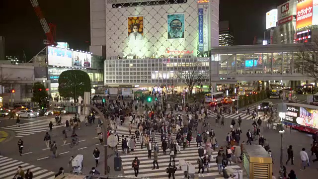 日本，人们在晚上过马路视频素材