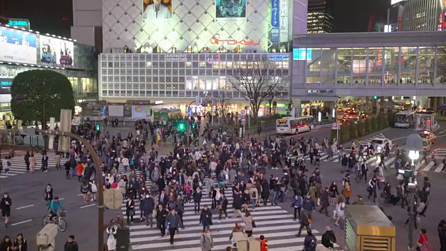 涉谷的夜晚，日本视频素材