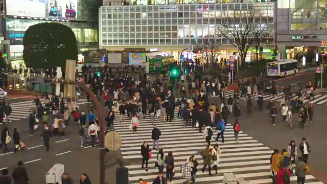 WS TL涉谷夜游，日本视频素材