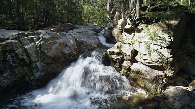 在白山中，白水从岩石上流过视频素材