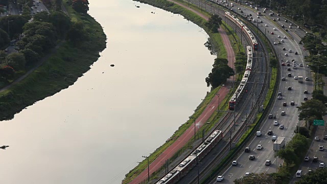 西部边缘松树视频素材