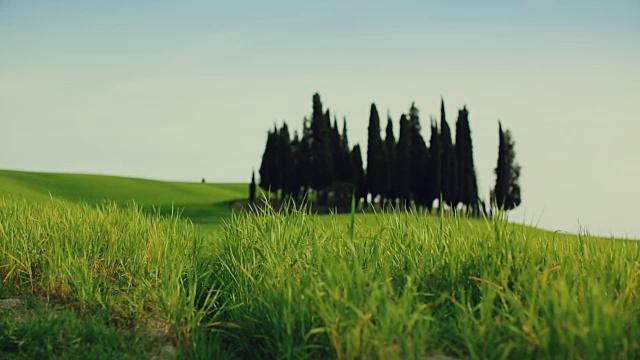 经典的托斯卡纳风景:绿色的山丘和柏树视频素材