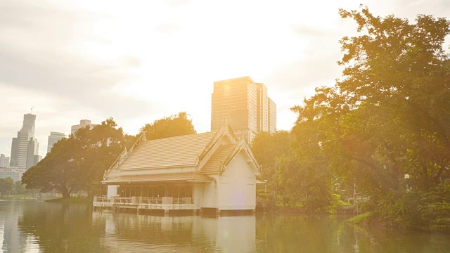 抽象的自然，城市背景视频素材