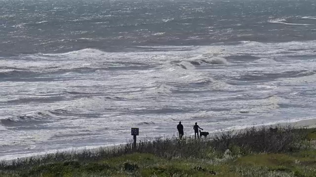 德克萨斯野马岛海滩上的人们视频素材