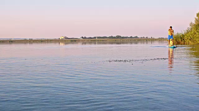 人和狗在湖上玩冲浪板视频素材