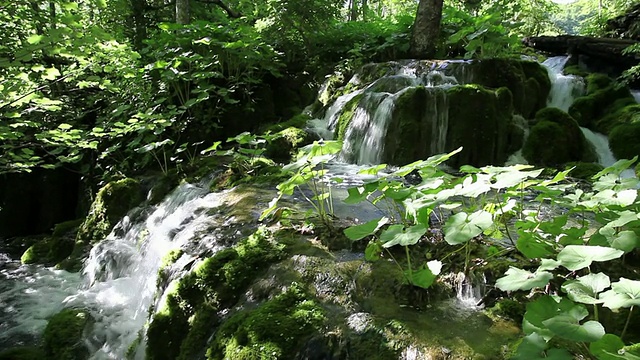 湖的水景，普利特维茨湖国家公园视频素材