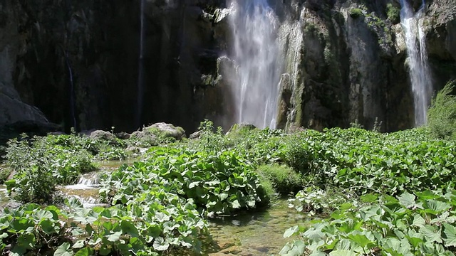 瀑布在较低的湖泊，Plitvice湖国家公园视频素材